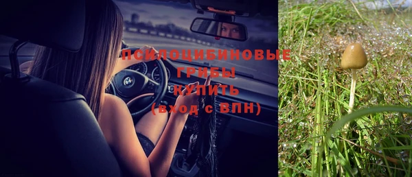 а пвп мука Верхний Тагил
